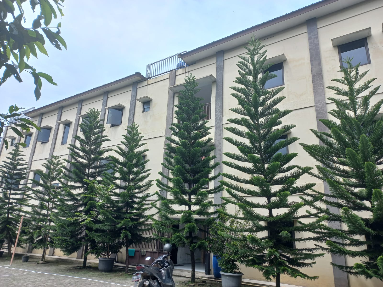 Pondok Tahfizh Putri Aladzievie